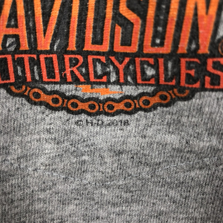 Harley-Davidson Long Sleeve T-Shirt, Men's Size L unclear gray type Vintage Second Hand