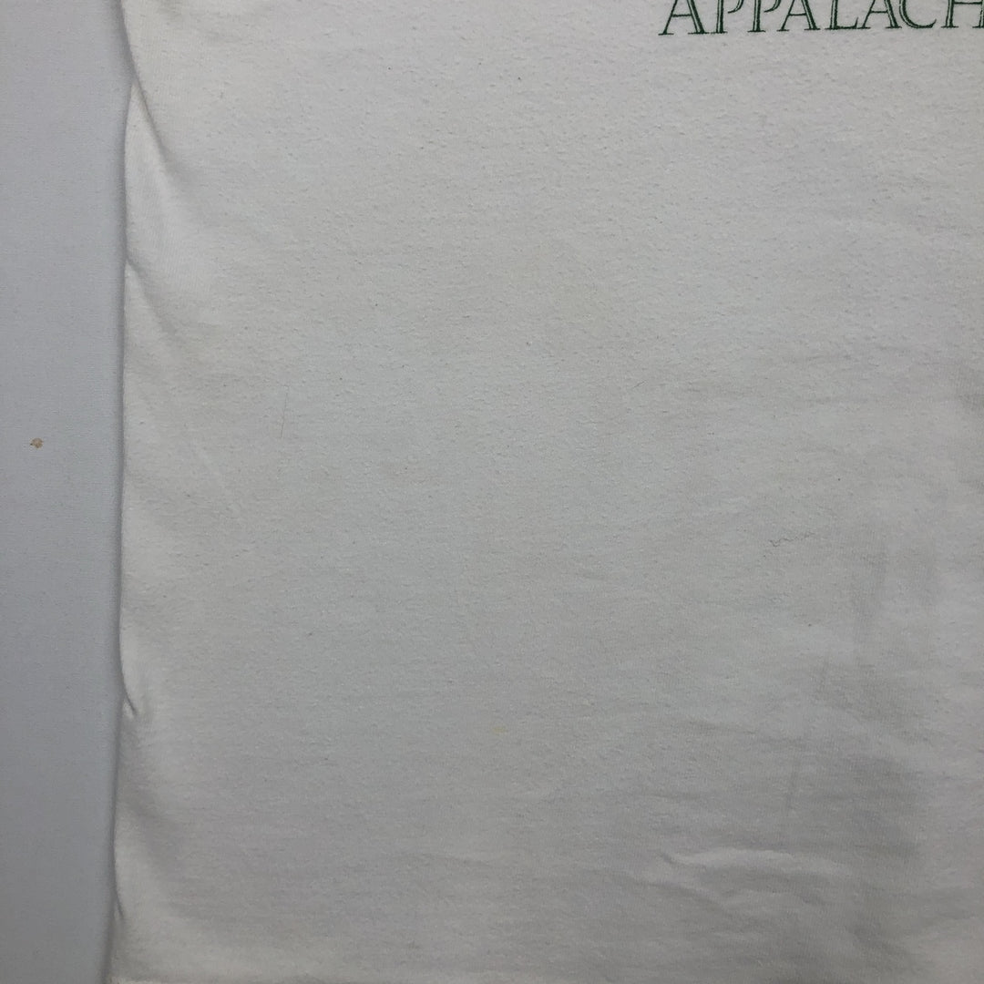 90'S Hanes BEEFY-T Printed T-shirt Made in USA Men's XL Vintage cotton white type Vintage Second Hand