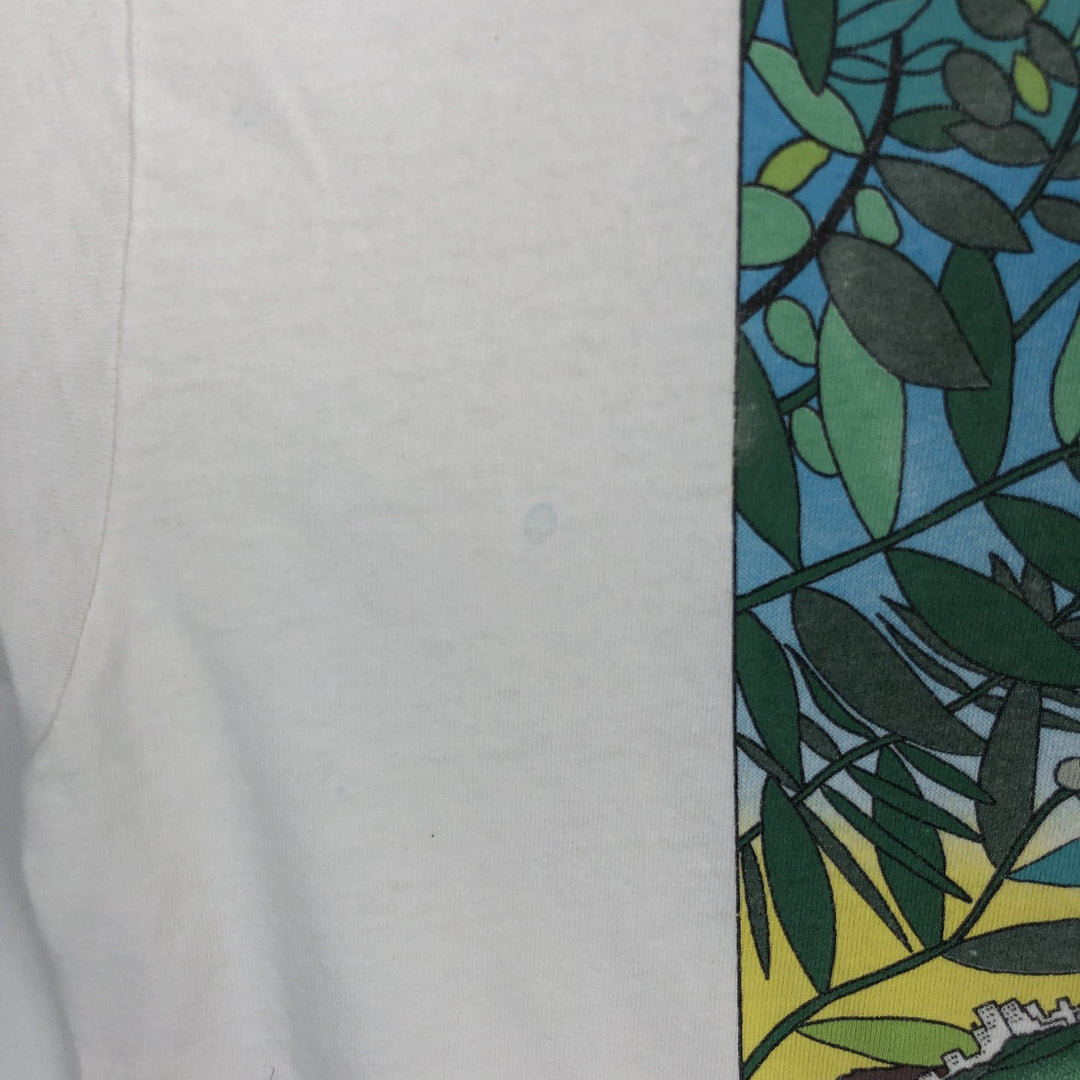 90'S Hanes Heavyweight Animal Pattern Art T-Shirt, Made in USA, Men's XL equivalent, Vintage cotton white type Vintage Second Hand