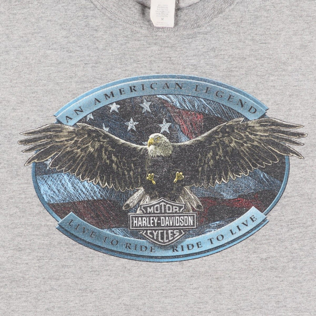 90'S Harley-Davidson Eagle Pattern American Flag Motorcycle T-Shirt, Made in USA, Men's Size M (approx.), Vintage cotton gray type Vintage Second Hand
