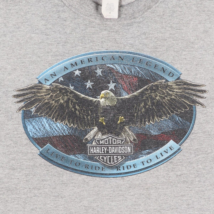 90'S Harley-Davidson Eagle Pattern American Flag Motorcycle T-Shirt, Made in USA, Men's Size M (approx.), Vintage cotton gray type Vintage Second Hand