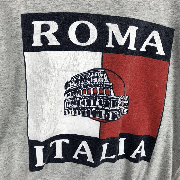 Vintage souvenir T-shirt from the 1990s, equivalent to men's size M. cotton gray type Vintage Second Hand