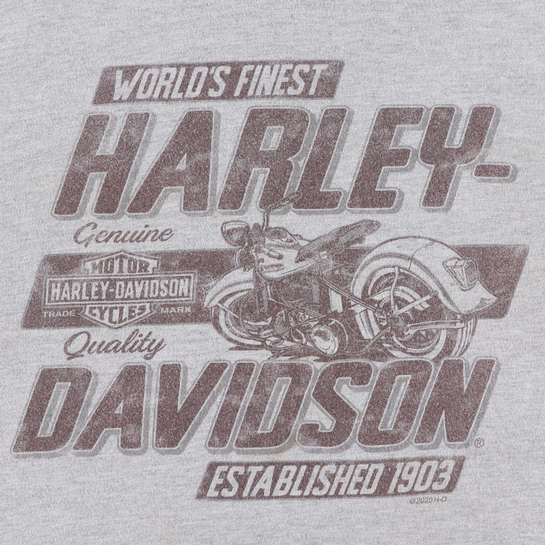 Harley-Davidson Motorcycle Bike T-shirt, Men's XL size cotton gray type Vintage Second Hand