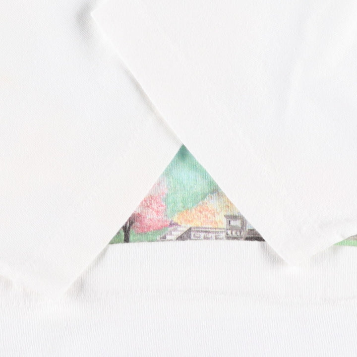 90'S Fruit of the Loom printed T-shirt, made in the USA, men's size M, vintage cotton white type Vintage Second Hand