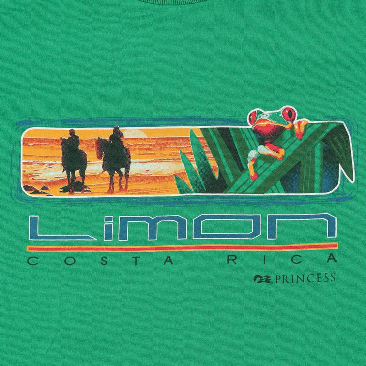 Princess Cruises Souvenir T-shirt (Men's XXL equivalent) cotton green type Vintage Second Hand