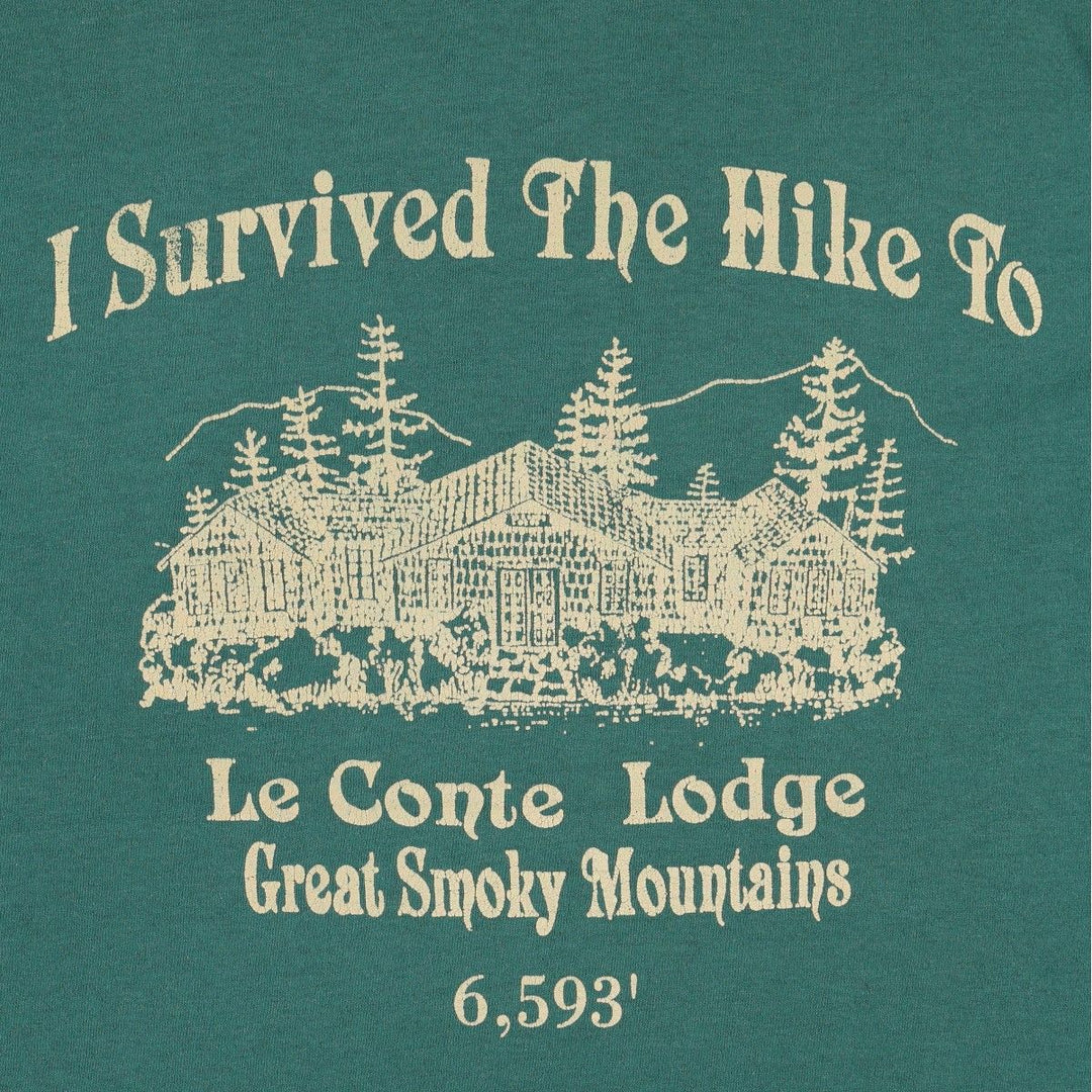 90'S Hanes Great Smoky Print T-Shirt, Made in USA, Men's XL equivalent, Vintage cotton green type Vintage Second Hand