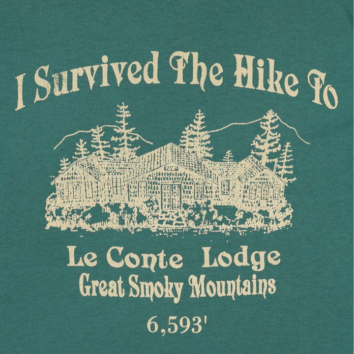 90'S Hanes Great Smoky Print T-Shirt, Made in USA, Men's XL equivalent, Vintage cotton green type Vintage Second Hand