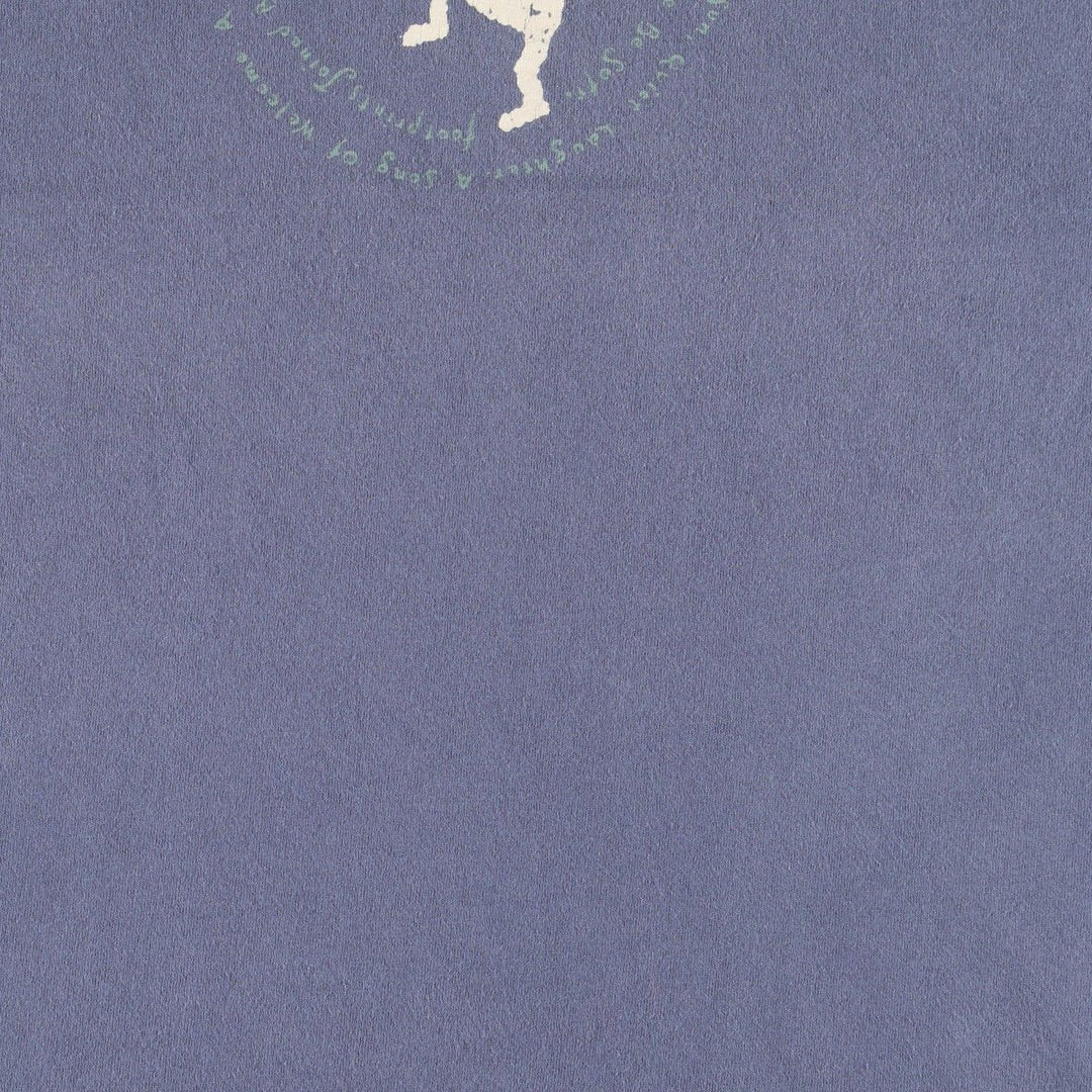 90'S Fruit of the Loom Kokopelli Print T-Shirt, Made in USA, Men's XL equivalent, Vintage cotton navy blue type Vintage Second Hand
