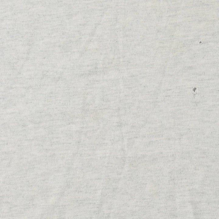 90'S Fruit of the Loom printed T-shirt, made in the USA, men's size L, vintage cotton gray type Vintage Second Hand