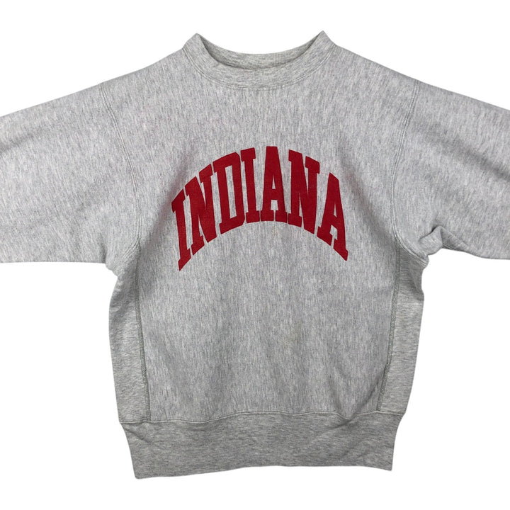 90'S Champion Reverse Weave College Sweatshirt, Made in USA, Men's Size L, Vintage cotton gray type Vintage Second Hand