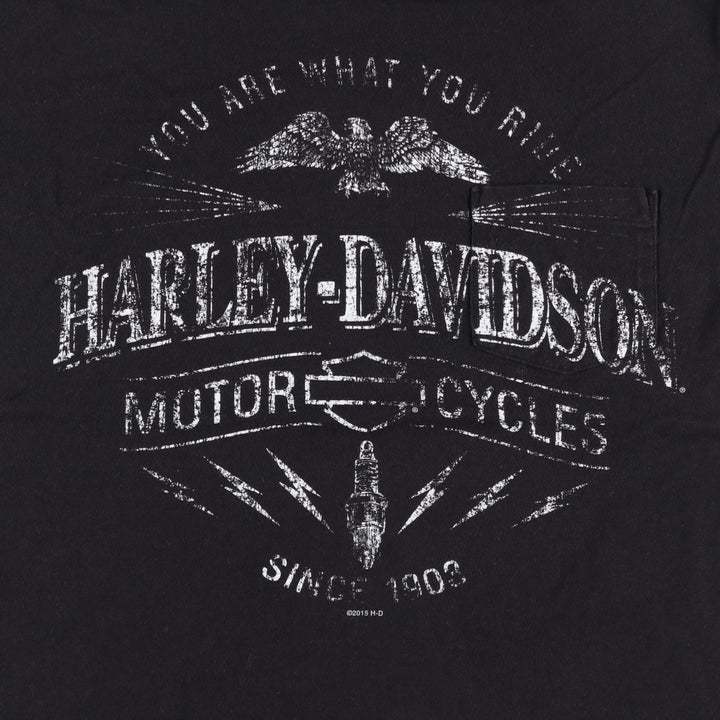 Harley-Davidson Motorcycle Bike T-shirt, Men's Size L cotton black type Vintage Second Hand