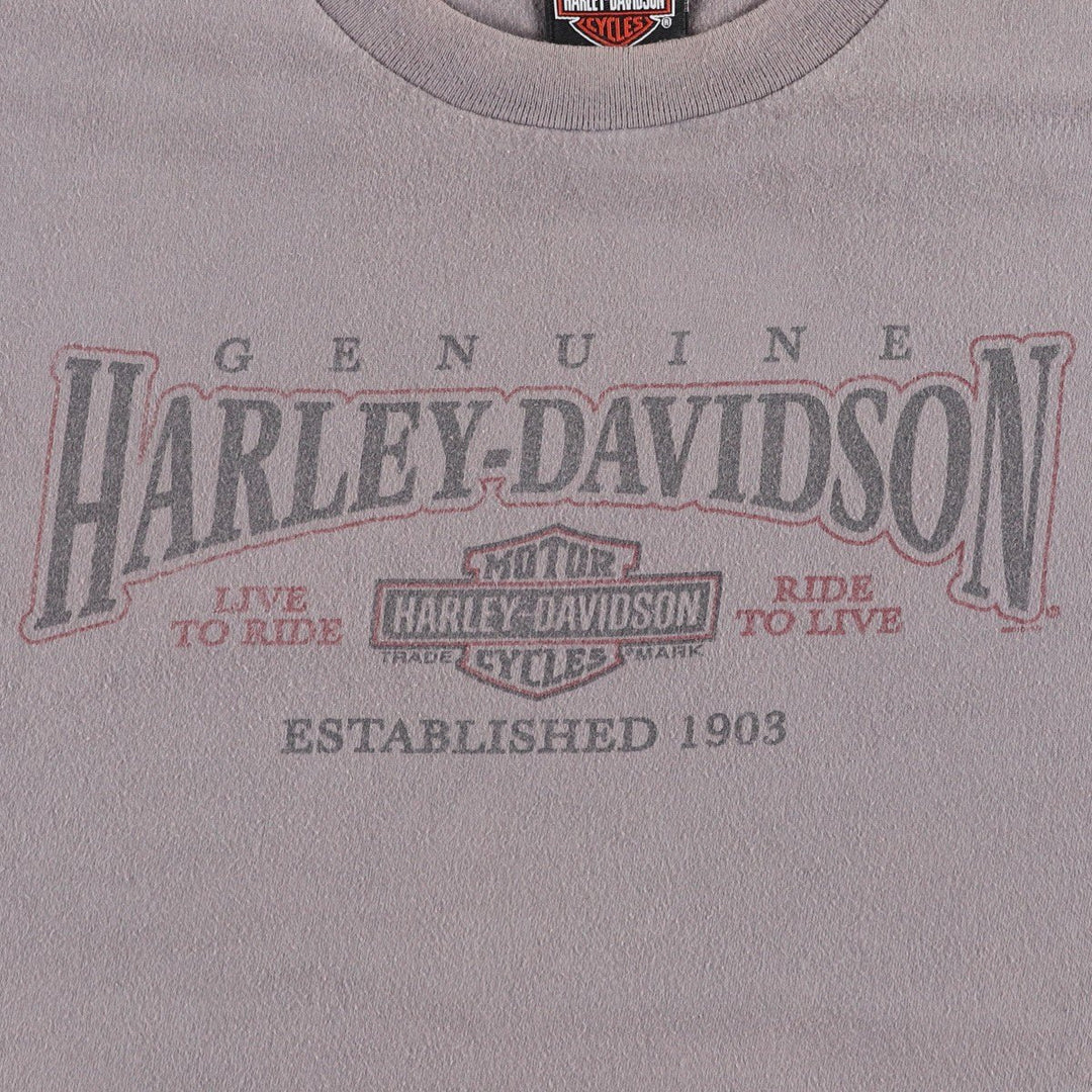 Harley-Davidson Fish Print Motorcycle T-Shirt, Men's Size XXL (approx.) cotton gray type Vintage Second Hand