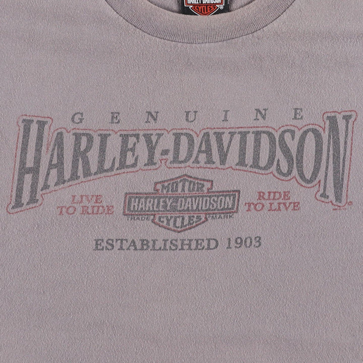 Harley-Davidson Fish Print Motorcycle T-Shirt, Men's Size XXL (approx.) cotton gray type Vintage Second Hand