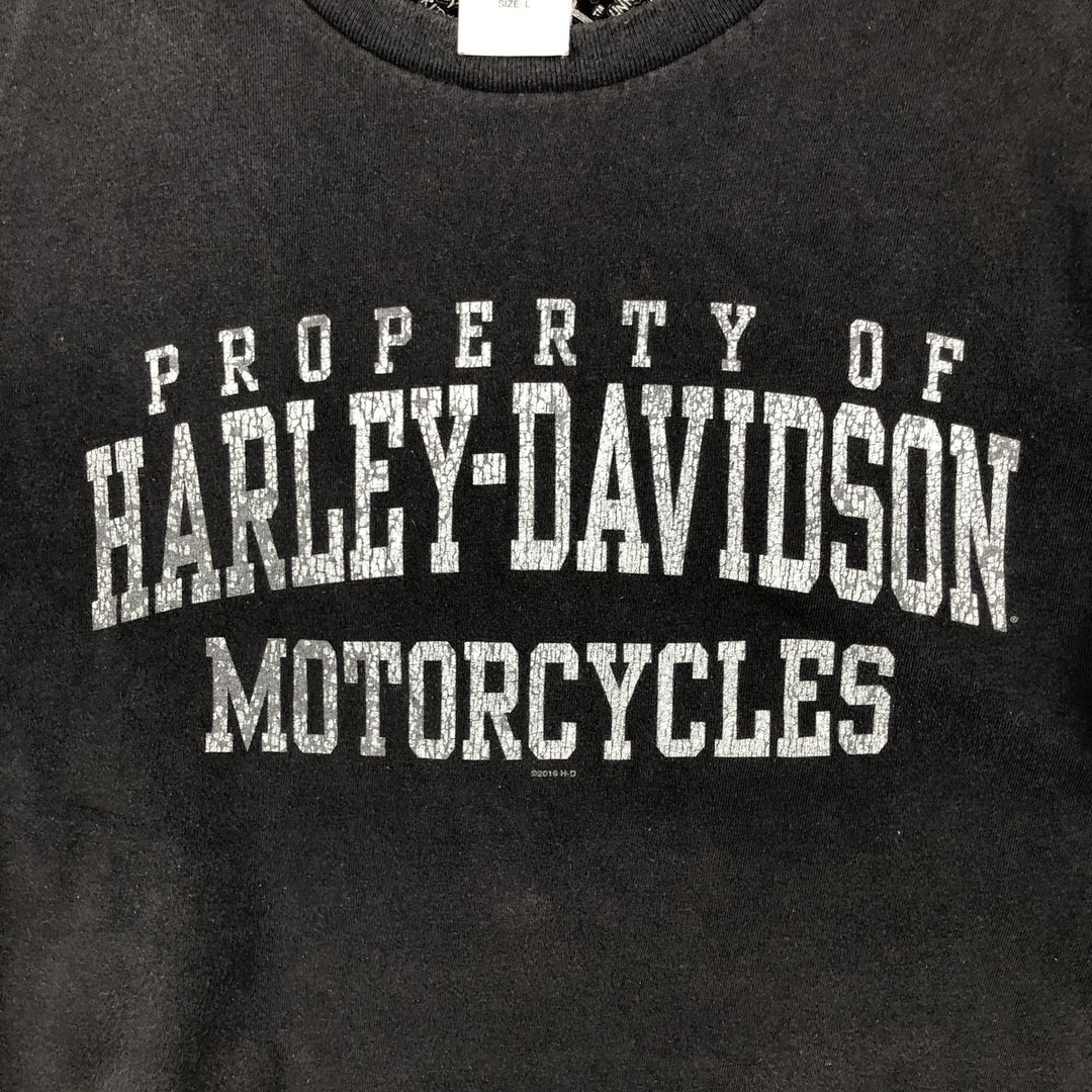 Harley-Davidson Motorcycle Bike T-shirt, Men's Size L cotton black type Vintage Second Hand