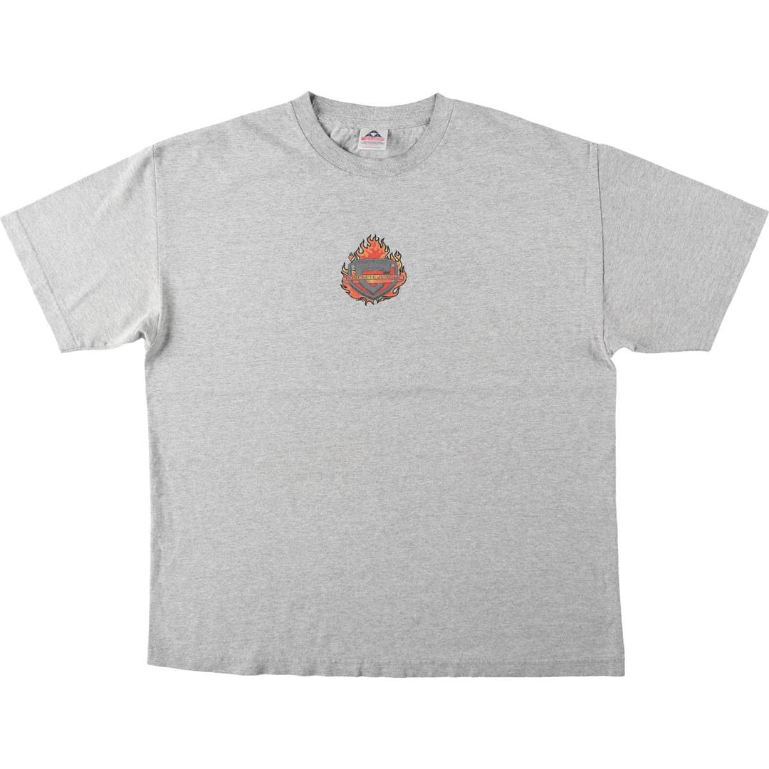 ALSTYLE Snake Pattern Python Fire Pattern Print T-Shirt, Men's XL (approx.) cotton gray type Vintage Second Hand