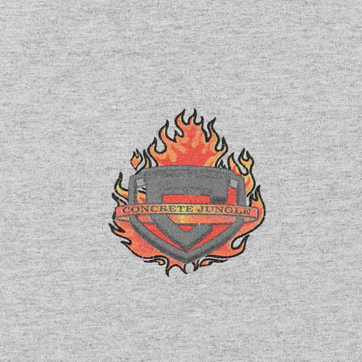 ALSTYLE Snake Pattern Python Fire Pattern Print T-Shirt, Men's XL (approx.) cotton gray type Vintage Second Hand