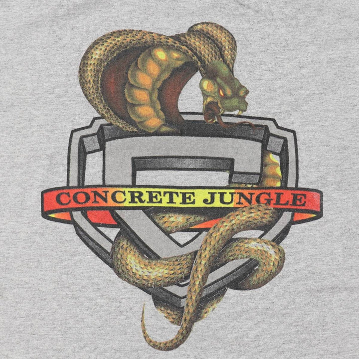 ALSTYLE Snake Pattern Python Fire Pattern Print T-Shirt, Men's XL (approx.) cotton gray type Vintage Second Hand