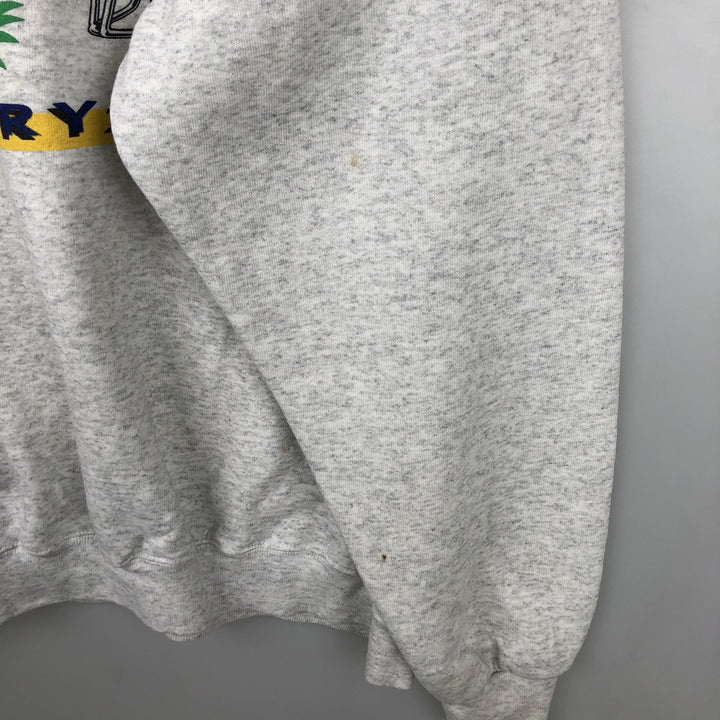 90'S PM SPORTS College Sweatshirt, Made in USA, Men's XL equivalent, Vintage polyester gray type Vintage Second Hand