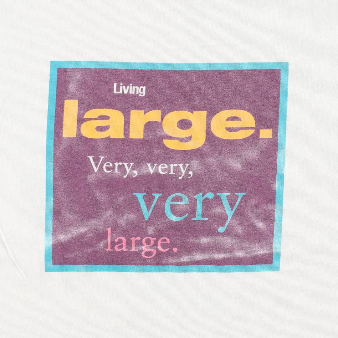 90'S Anvil Advertising T-Shirt, BEA Systems, Men's XL equivalent, Vintage cotton white type Vintage Second Hand