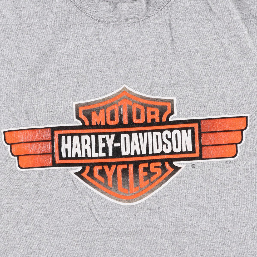 Harley-Davidson Motorcycle Bike T-shirt, Men's Size L cotton gray type Vintage Second Hand