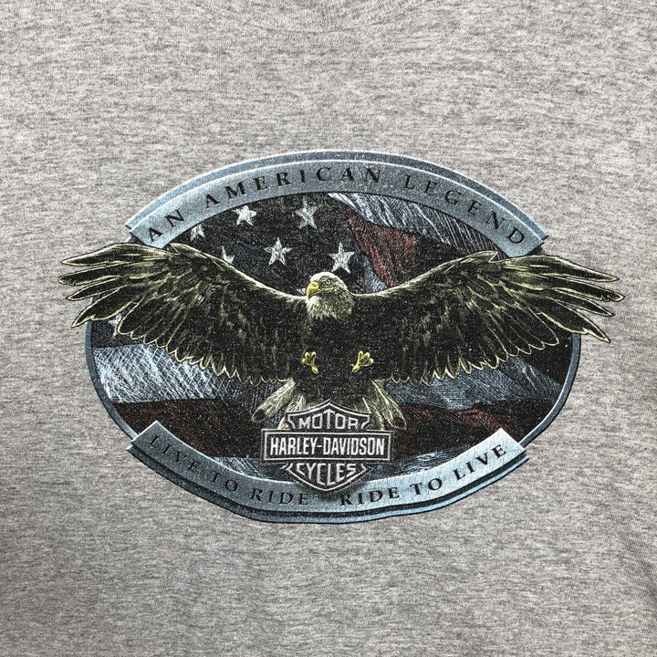 Harley-Davidson Eagle Pattern Motorcycle Bike T-shirt Men's XL unclear gray type Vintage Second Hand