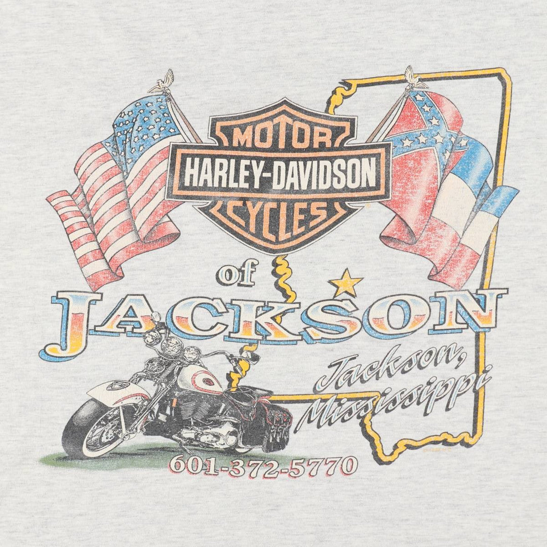 90'S Harley-Davidson Hanes BEEFY-T Motorcycle T-Shirt, Made in USA, Men's XXL equivalent, Vintage cotton gray type Vintage Second Hand