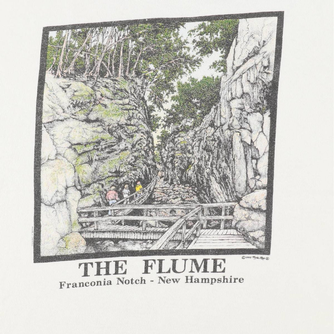 90'S Fruit of the Loom printed T-shirt, made in the USA, men's XL size, vintage cotton white type Vintage Second Hand