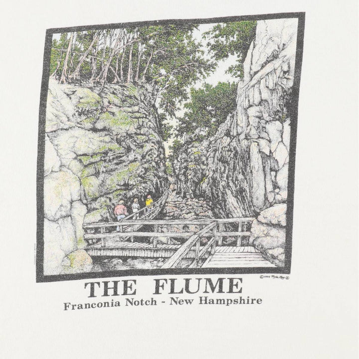 90'S Fruit of the Loom printed T-shirt, made in the USA, men's XL size, vintage cotton white type Vintage Second Hand