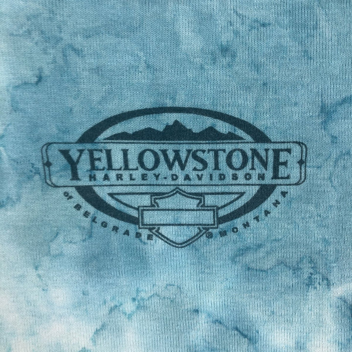 Big Size 2000'S Harley-Davidson Tie-Dye Pattern Motorcycle 3/4 Sleeve Long T-Shirt (Women's XXXL equivalent) cotton Blue type light blue Vintage Second Hand