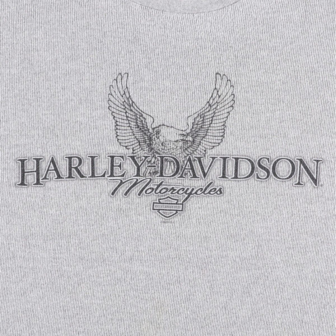 Big Size 2000'S Harley-Davidson Eagle Pattern Tribal Motorcycle Thermal Long-Sleeve T-Shirt (Men's XXXL equivalent) cotton gray type Vintage Second Hand