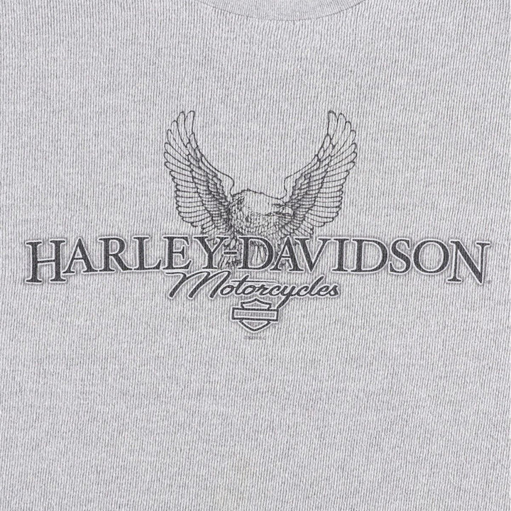 Big Size 2000'S Harley-Davidson Eagle Pattern Tribal Motorcycle Thermal Long-Sleeve T-Shirt (Men's XXXL equivalent) cotton gray type Vintage Second Hand
