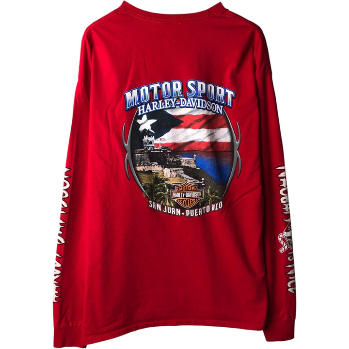 Hanes Harley-Davidson Skull Pattern Long-Sleeve T-Shirt (Men's XXL equivalent) cotton red type Vintage Second Hand