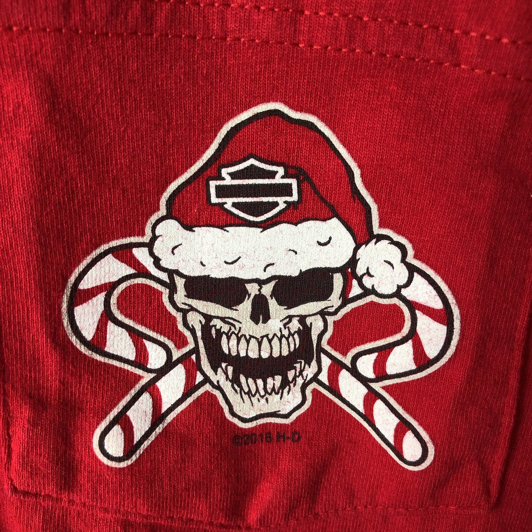 Hanes Harley-Davidson Skull Pattern Long-Sleeve T-Shirt (Men's XXL equivalent) cotton red type Vintage Second Hand