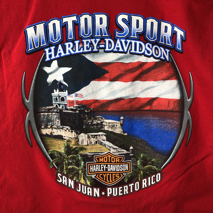 Hanes Harley-Davidson Skull Pattern Long-Sleeve T-Shirt (Men's XXL equivalent) cotton red type Vintage Second Hand