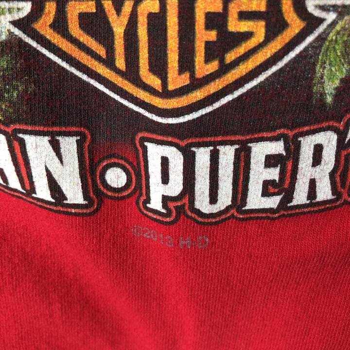 Hanes Harley-Davidson Skull Pattern Long-Sleeve T-Shirt (Men's XXL equivalent) cotton red type Vintage Second Hand