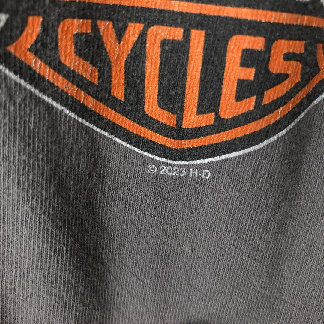 Harley-Davidson Long Sleeve T-Shirt, Men's Medium unclear gray type Vintage Second Hand