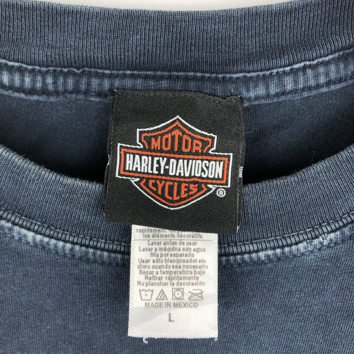 Harley-Davidson American flag pattern motorcycle long-sleeved T-shirt (Men's size L equivalent) cotton black type Vintage Second Hand