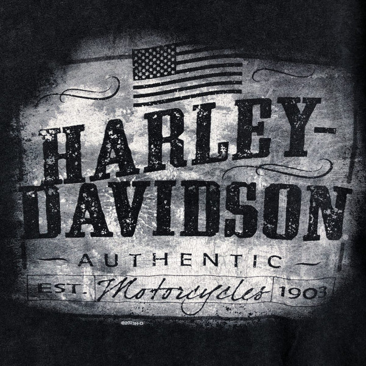 Harley-Davidson American flag pattern motorcycle long-sleeved T-shirt (Men's size L equivalent) cotton black type Vintage Second Hand