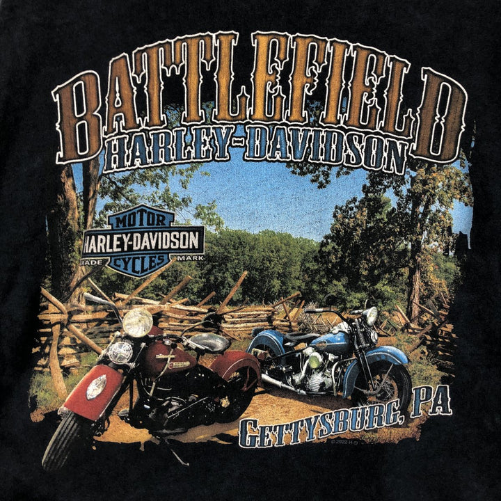 Harley-Davidson American flag pattern motorcycle long-sleeved T-shirt (Men's size L equivalent) cotton black type Vintage Second Hand