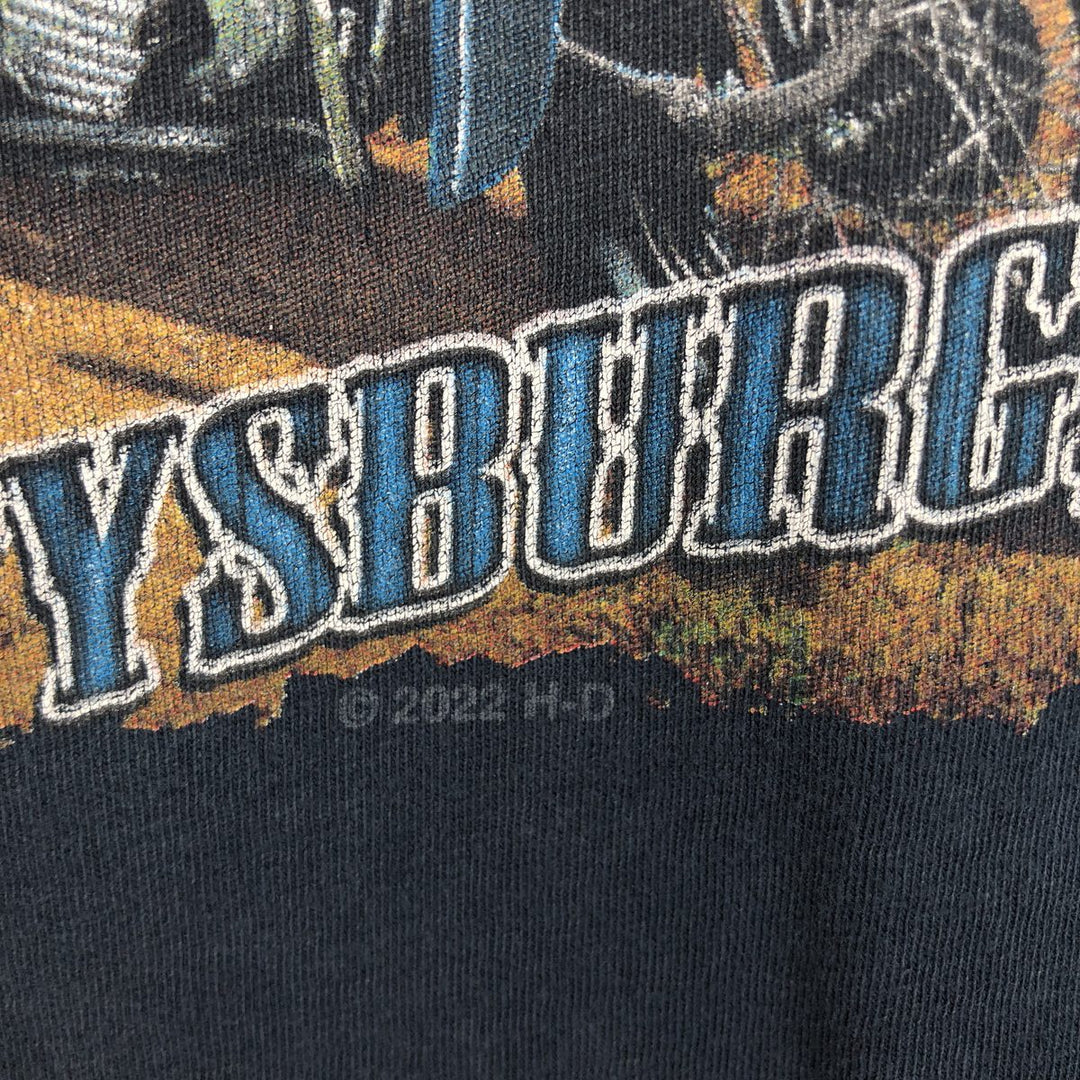 Harley-Davidson American flag pattern motorcycle long-sleeved T-shirt (Men's size L equivalent) cotton black type Vintage Second Hand