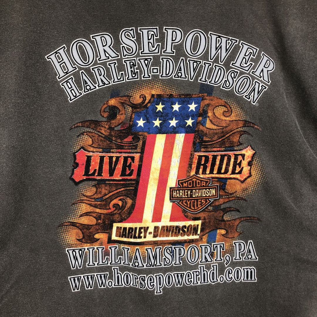 2000'S Harley-Davidson Stars and Stripes Fire Pattern Long-Sleeve T-Shirt (Men's XXL equivalent) unclear gray type Vintage Second Hand
