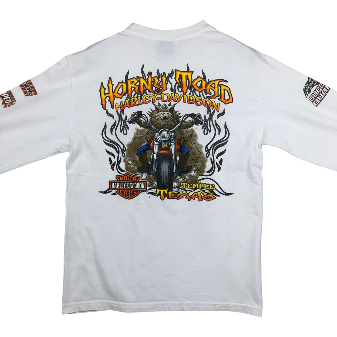 Harley-Davidson Motorcycle American Flag Pattern Long-Sleeve T-Shirt (Men's Size M) unclear white type Vintage Second Hand