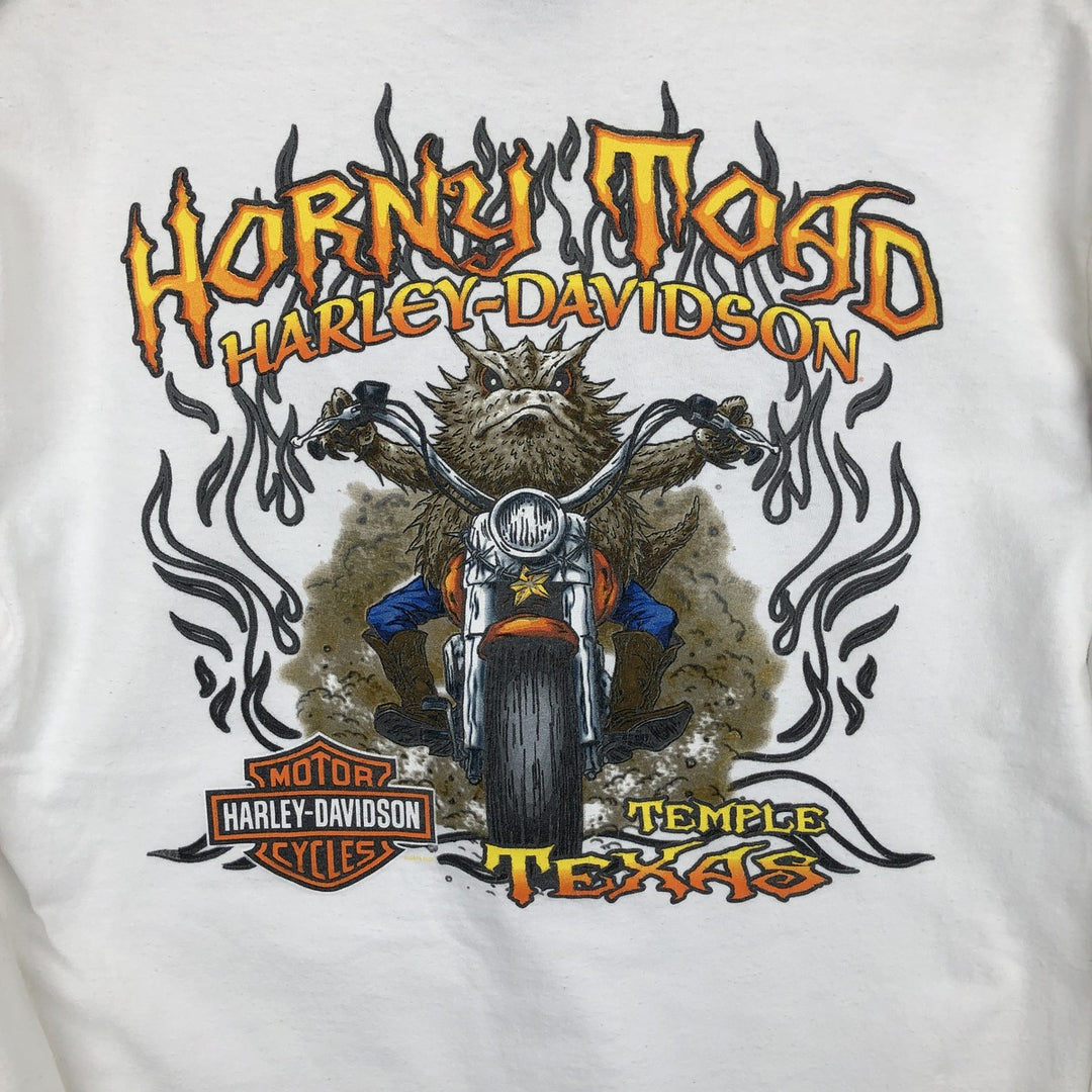 Harley-Davidson Motorcycle American Flag Pattern Long-Sleeve T-Shirt (Men's Size M) unclear white type Vintage Second Hand