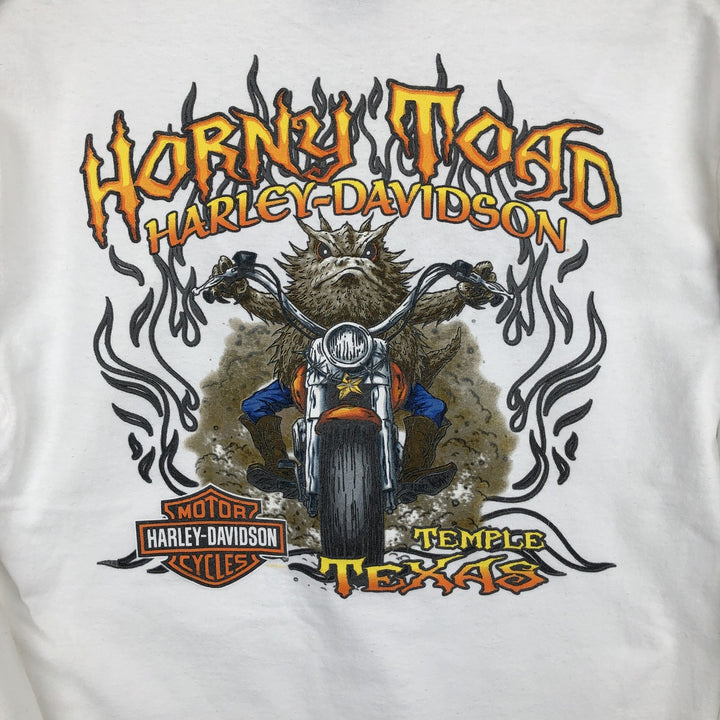 Harley-Davidson Motorcycle American Flag Pattern Long-Sleeve T-Shirt (Men's Size M) unclear white type Vintage Second Hand
