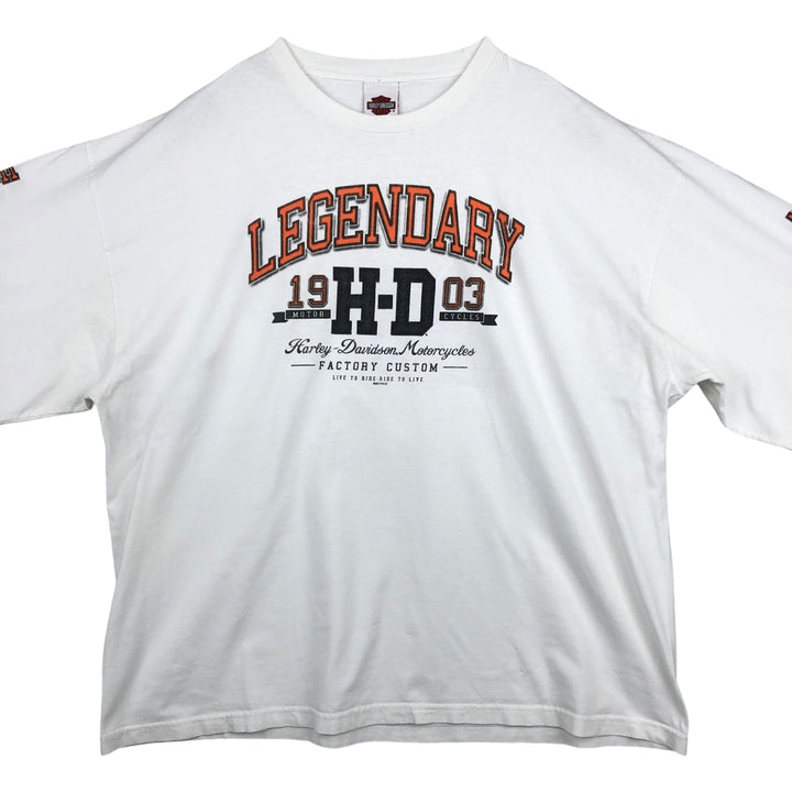 Oversized Harley-Davidson Eagle Pattern Motorcycle Long Sleeve T-Shirt, Men's Size XXXL cotton white type Vintage Second Hand