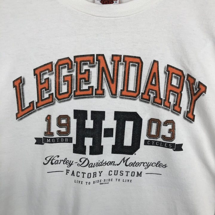 Oversized Harley-Davidson Eagle Pattern Motorcycle Long Sleeve T-Shirt, Men's Size XXXL cotton white type Vintage Second Hand