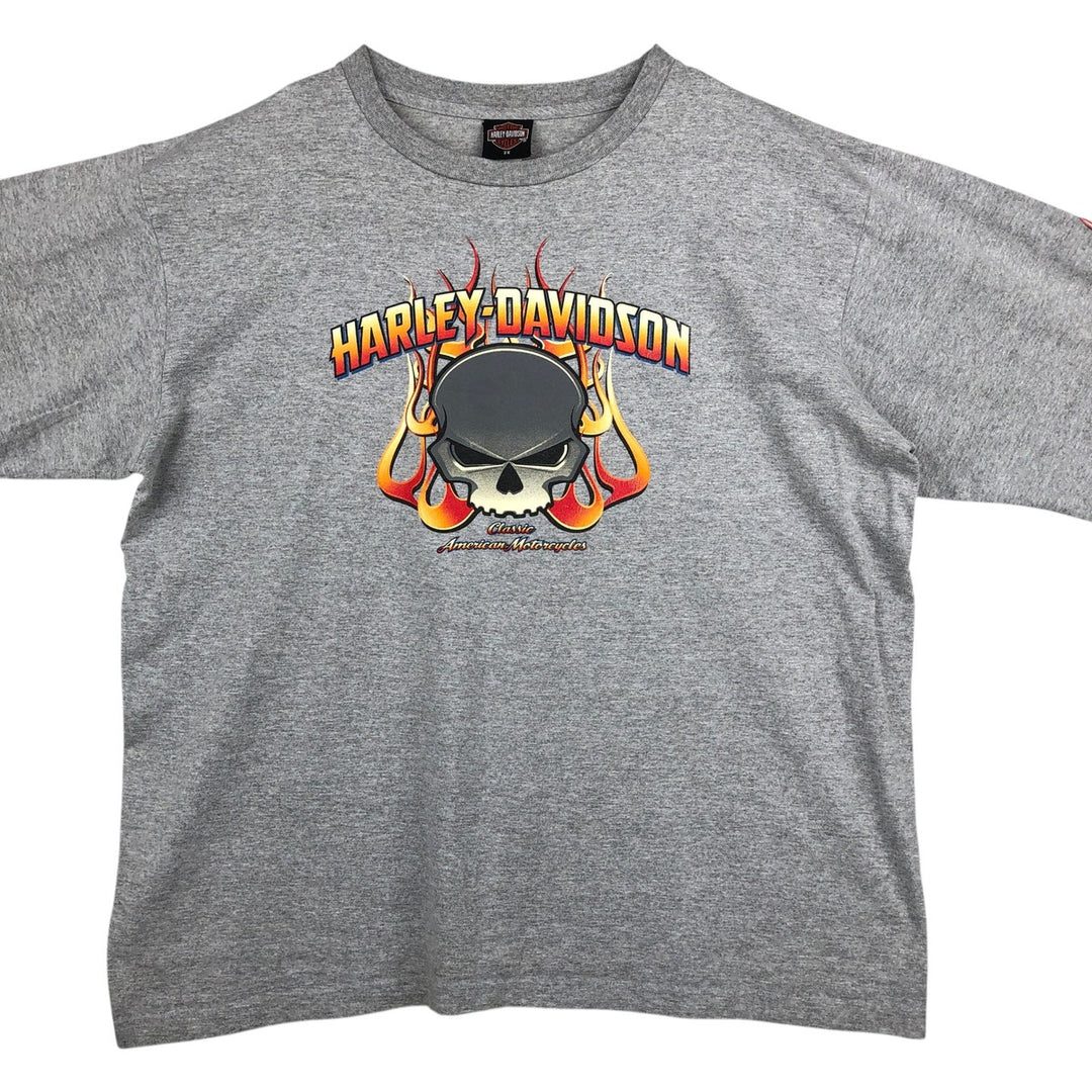 2000'S Harley-Davidson Fire Pattern Skull Pattern Long-Sleeve T-Shirt (Men's XXL equivalent) unclear gray type Vintage Second Hand