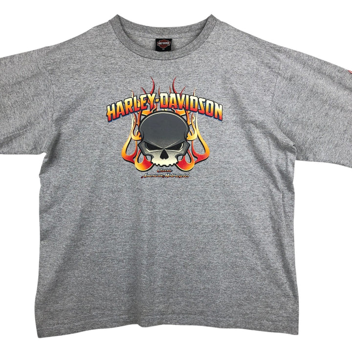 2000'S Harley-Davidson Fire Pattern Skull Pattern Long-Sleeve T-Shirt (Men's XXL equivalent) unclear gray type Vintage Second Hand