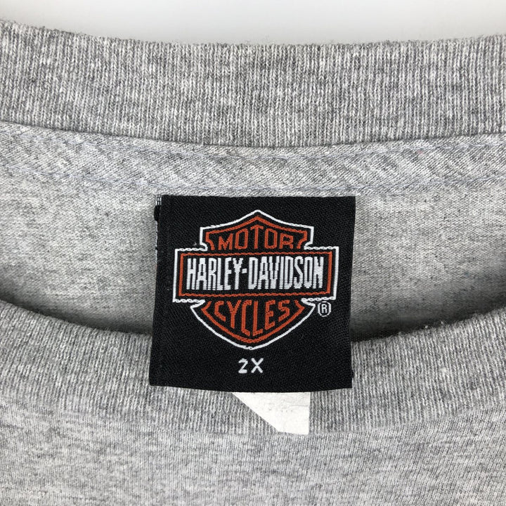 2000'S Harley-Davidson Fire Pattern Skull Pattern Long-Sleeve T-Shirt (Men's XXL equivalent) unclear gray type Vintage Second Hand