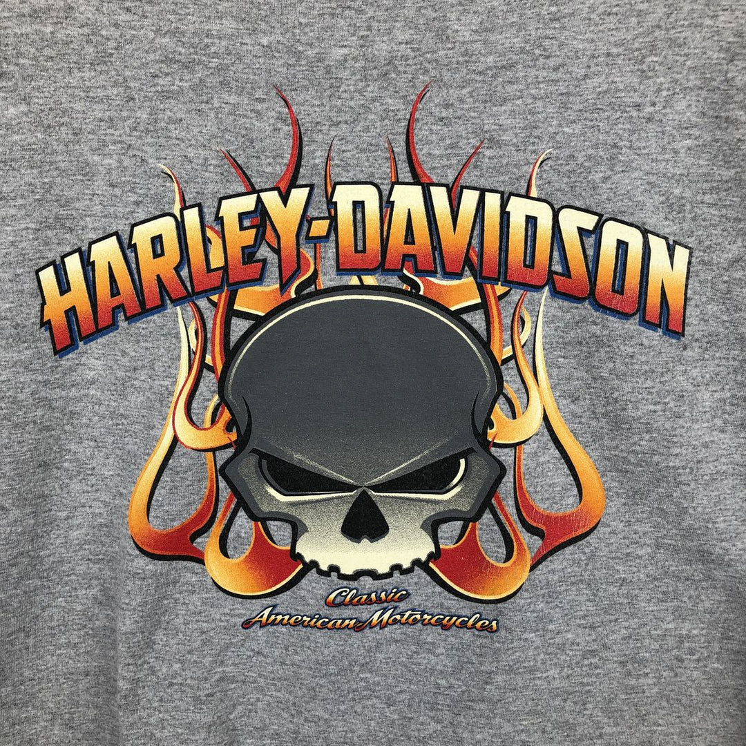 2000'S Harley-Davidson Fire Pattern Skull Pattern Long-Sleeve T-Shirt (Men's XXL equivalent) unclear gray type Vintage Second Hand
